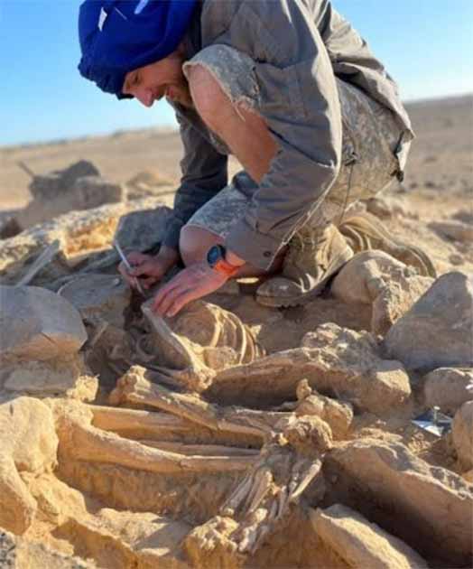 Excavating burials at a site in Oman. (Roman Garba and Alžběta Danielisov/ Institute of Archaeology of the CAS in Prague)