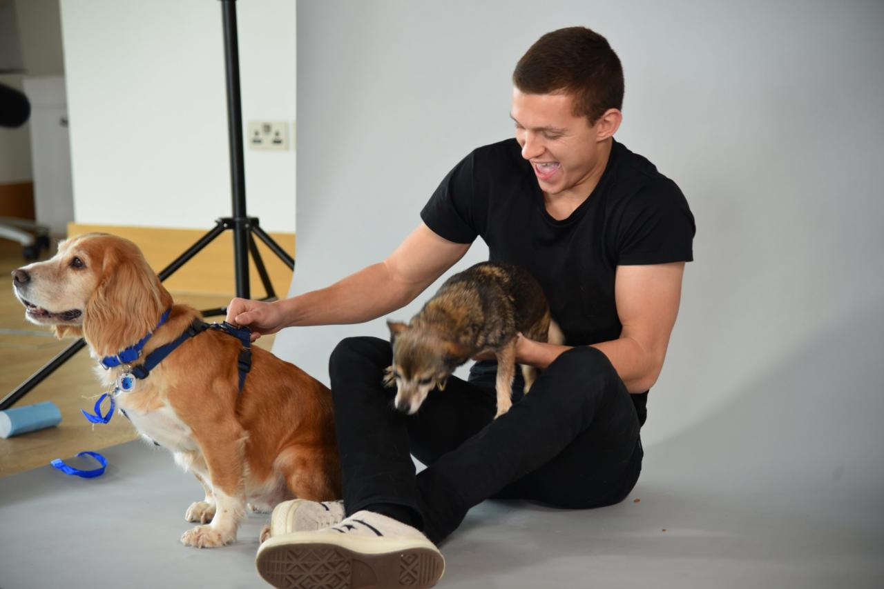 Tom Holland cuddling rescue dogs is the best thing to happen to 2020 | Metro News