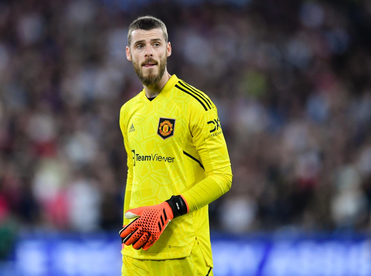 Manchester United star David de Gea has agreed a new deal with the club