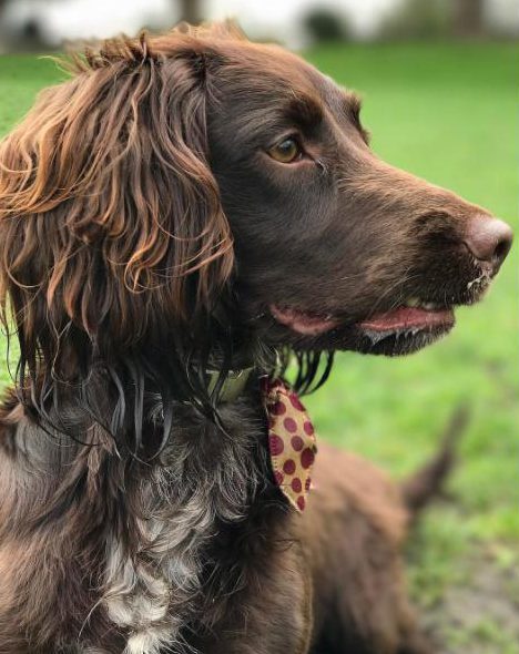  Barry takes Olive on 18-mile runs but never lets her out of sight